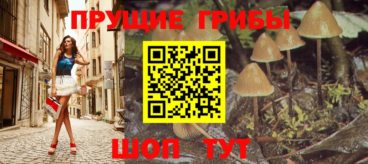 Всеволожск  Псилоцибиновые грибы MAGIC MUSHROOMS  Галлюциногенные грибы ЛСД  Вход с VPN 